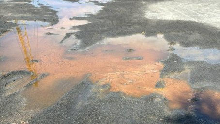 Результаты экспертизы воды в Клязьминском водохранилище вызывают шок у местных жителей